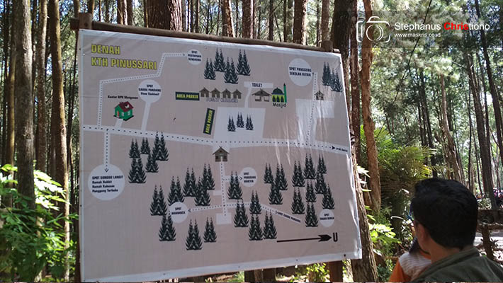 Hutan Pinussari Mangunan