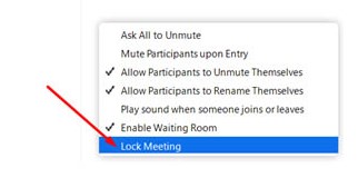 Lock Meeting Participants Zoom Menu
