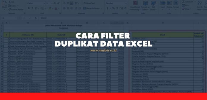 Cara Filter Duplikat Data Excel