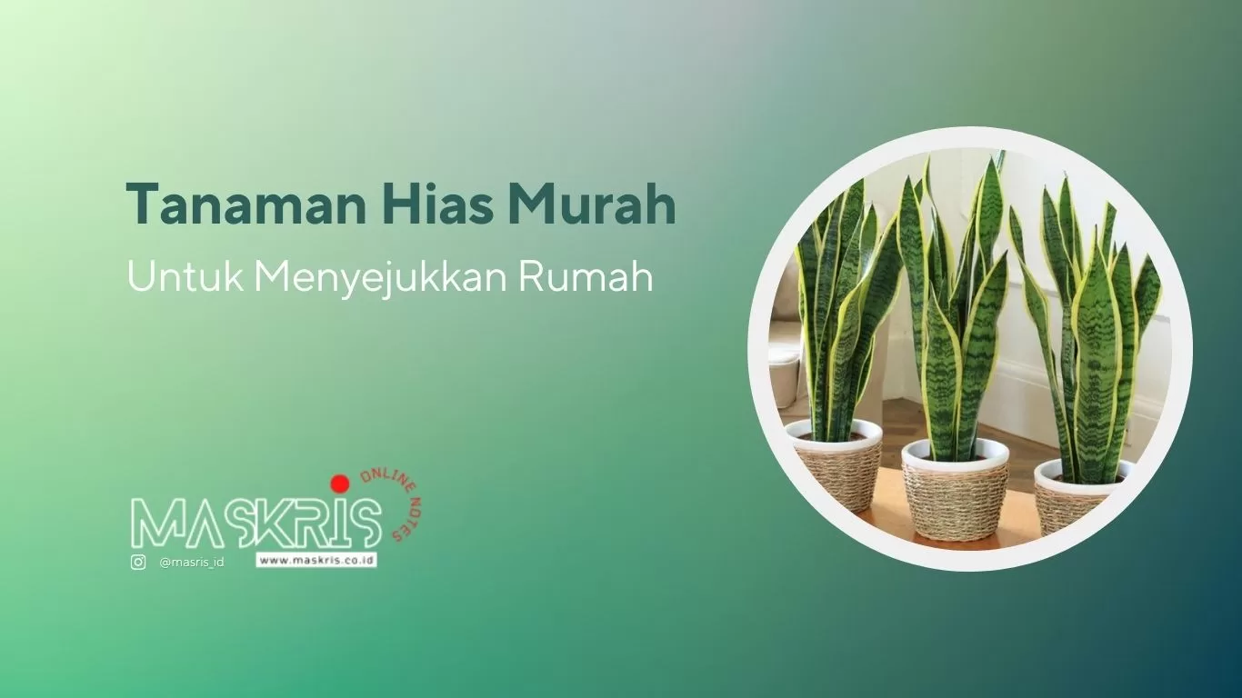 Tanaman Hias Murah Untuk Membuat Rumah Lebih Sejuk